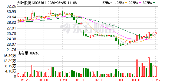 大叶股份8元钱买下净资产1800万元德国企业-313啦实用网