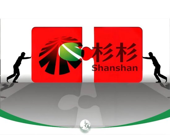 杉杉重整，海螺系真的是“如意郎君”吗？-313啦实用网