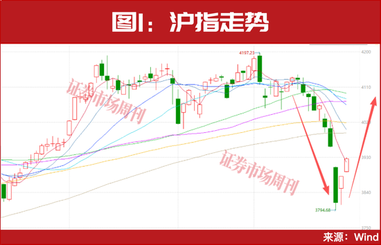 林园出手！又一轮低吸机会来了？-313啦实用网