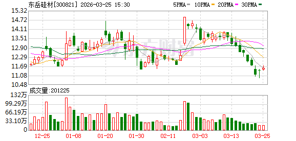 东岳硅材：董事会审议通过《关于公司的议案》等多项议案-313啦实用网