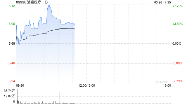 沛嘉医疗-B盘中涨超6% 2025年度收入同比增长15.82%至7.13亿元-313啦实用网
