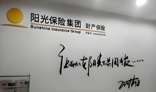 投资端独撑利润,承保端巨亏,阳光财险多元布局遇挫-313啦实用网