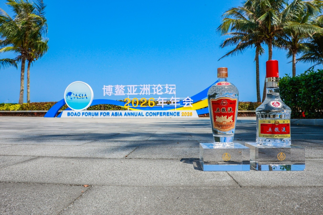五粮液博鳌答卷：双IP联动，让世界听见中国白酒的声音-313啦实用网