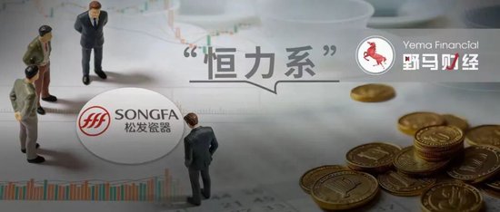 “恒力系”再融资70亿！“江苏首富”家族如何盘活千亿*ST松发？-313啦实用网