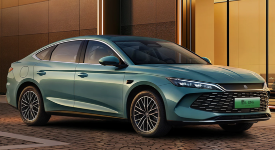 “卷王”比亚迪正遭遇“卷杀”-313啦实用网