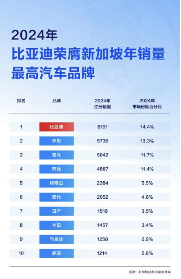 比亚迪包揽新加坡多项销量冠军，助力当地全面电动化-313啦实用网