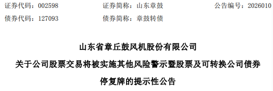 虚减利润被罚！002598，将被ST！-313啦实用网