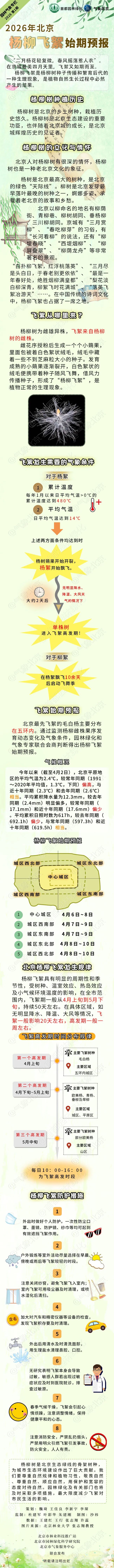 中心城区预计后天开始飞絮，北京发布今年首个杨柳飞絮预报-313啦实用网