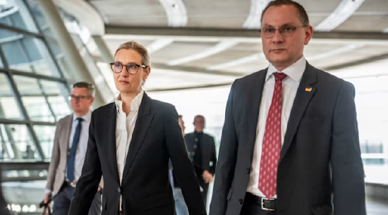 伊朗战争引发德极右翼选择党与特朗普切割-313啦实用网