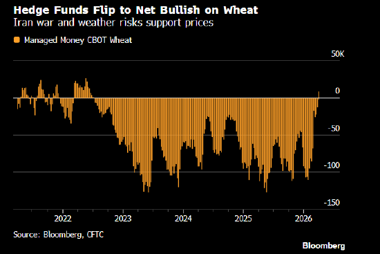 对冲基金近四年来首次净看多小麦 多头头寸创逾六年新高-313啦实用网