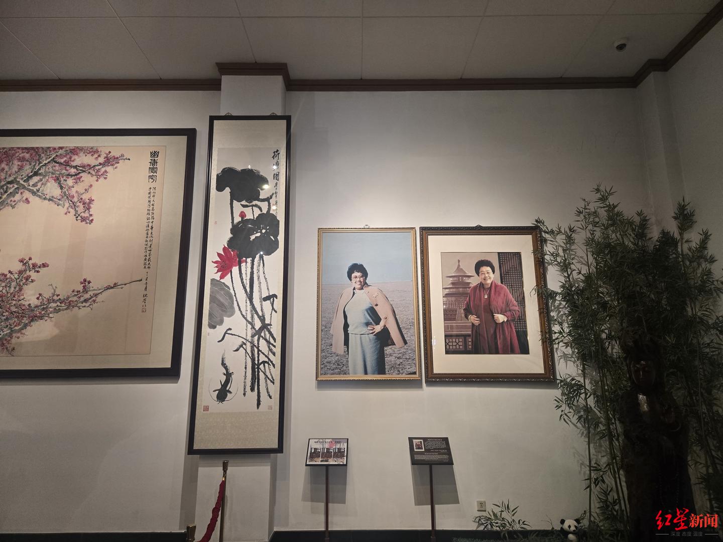 馆长陈丽华去世，媒体实探中国紫檀博物馆：今日免票参观-313啦实用网