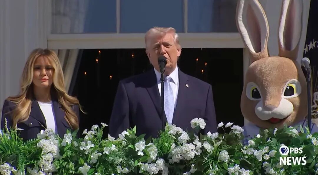 特朗普首次承认：美国人被黑吃黑了-313啦实用网