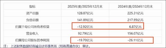 TCL中环遭并购反噬仍要逆势收购?或暴露业务短板亏近200亿 一道新能已资不抵债-313啦实用网