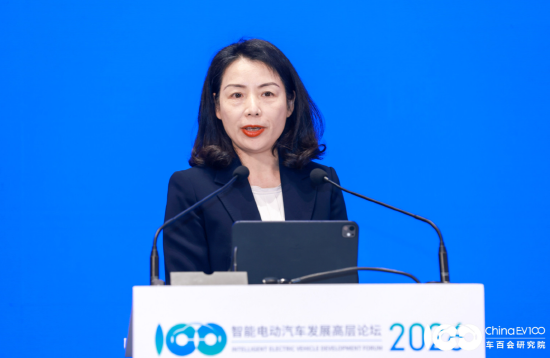 麦格纳吴珍:以“整车视角+全球布局”支撑中国车企高质量可持续发展-313啦实用网