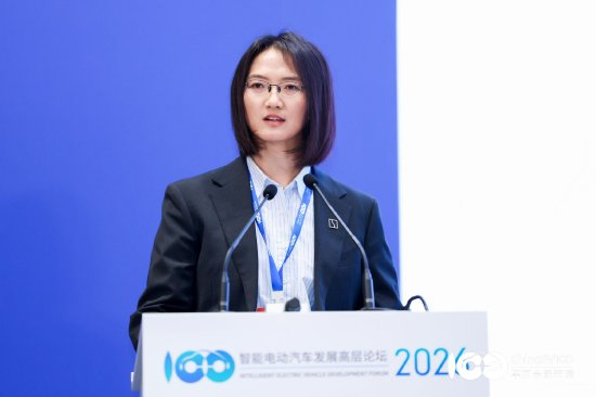 徐云谈极氪9X海外受追捧：客户主动加价提车，包括劳斯莱斯、宾利用户-313啦实用网