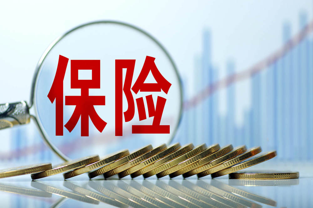 五大险企2025年总投资收益率普升 新华保险6.6%领跑-313啦实用网