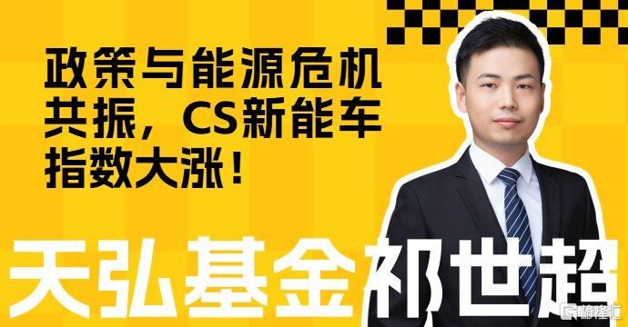 政策与能源危机共振，CS新能车指数上涨-313啦实用网