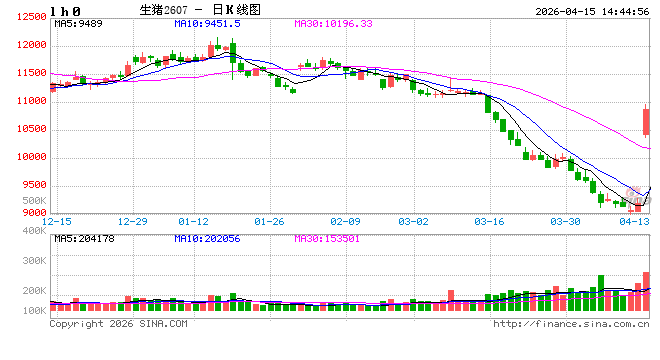 快讯：生猪主力合约日内大涨4.00%，现报9545.00元/吨