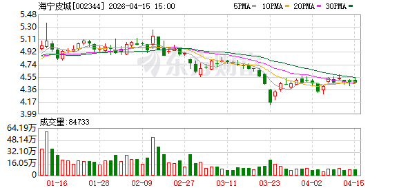 海宁皮城:2025年年度归属于上市公司股东的净利润70608731.75元-313啦实用网