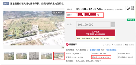 突发！惠州佳兆业、富力，被拍卖了！6.3亿起！-313啦实用网