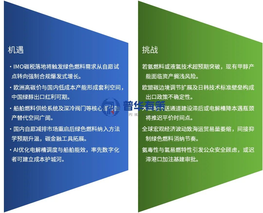 “十五五”绿色航运燃料产业深度研究及趋势前景预判报告-313啦实用网