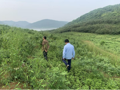 在分期乐普惠的帮助下，70亩吴茱萸熬过丰收前夜-313啦实用网