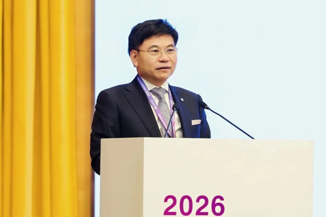 华友钴业方启学：以“地瓜理论”打造中国企业海外投资新范式-313啦实用网